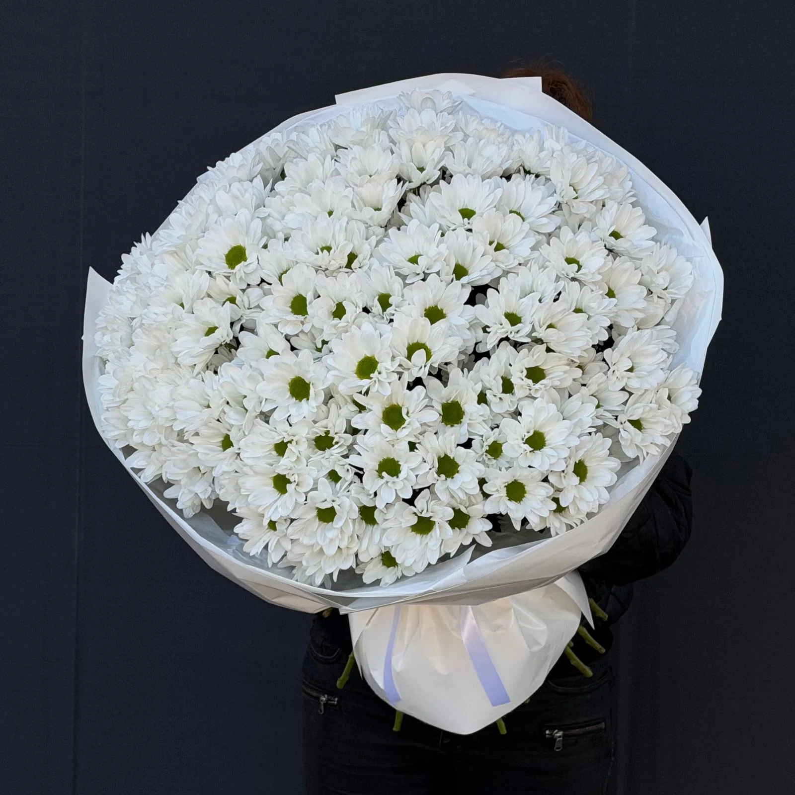 Chrysanthemum 25