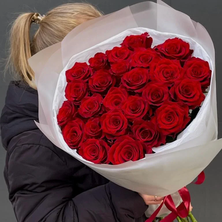 Rosa 25