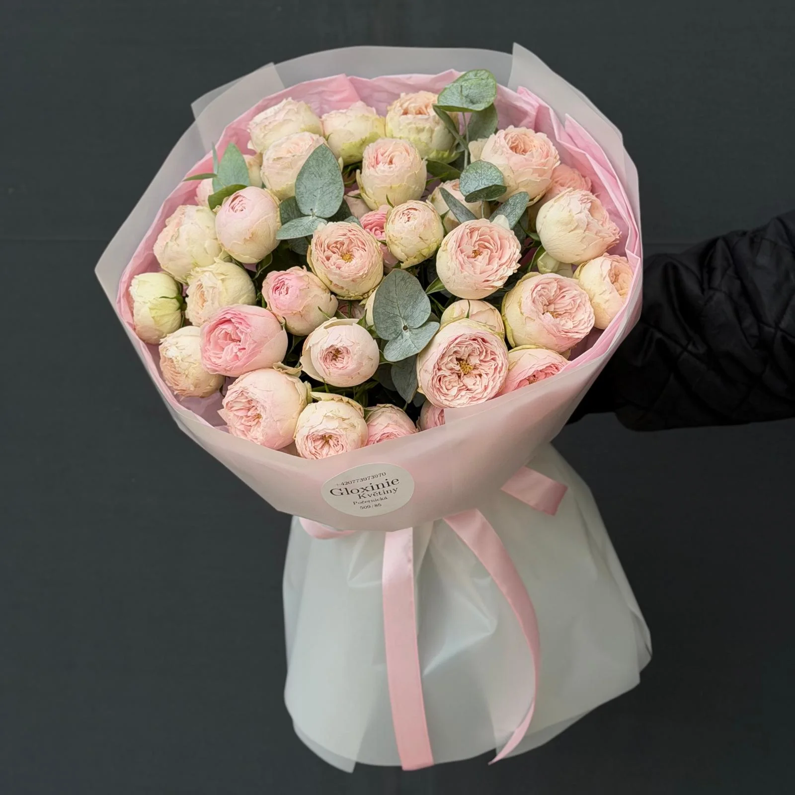 Piones Rosa