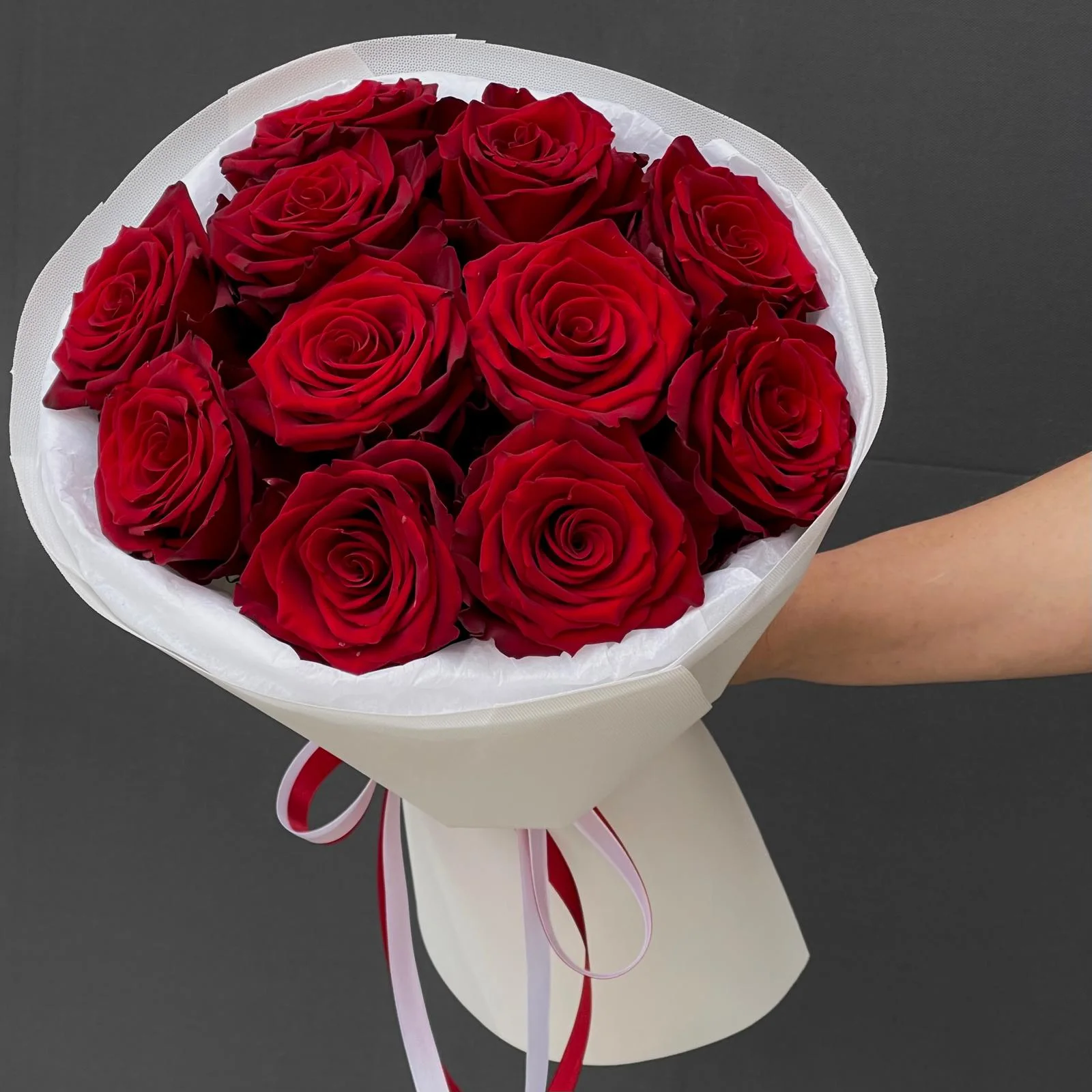 Rosa 11